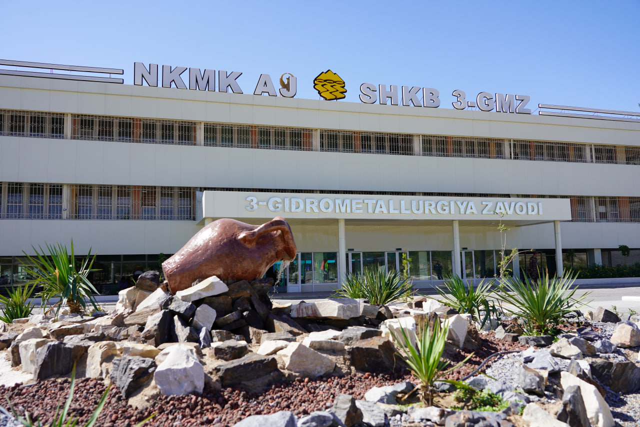 Jinsiy ginekolog fotosurati